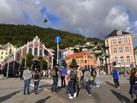 IMG_8942.jpeg