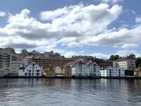IMG_3926.jpeg