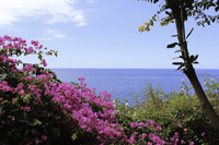 joga_Madeira _2020_Energy_Studio_foto_I..JPG