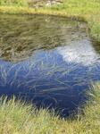 IMG_9518.jpeg