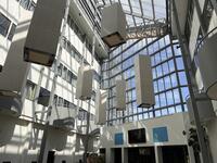 IMG_8832.jpeg
