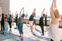 IMG_2136.jpeg
