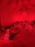 IMG_0002.jpeg