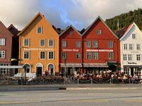 IMG_8967.jpeg