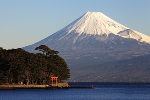 fuji-tori-autumn-japan