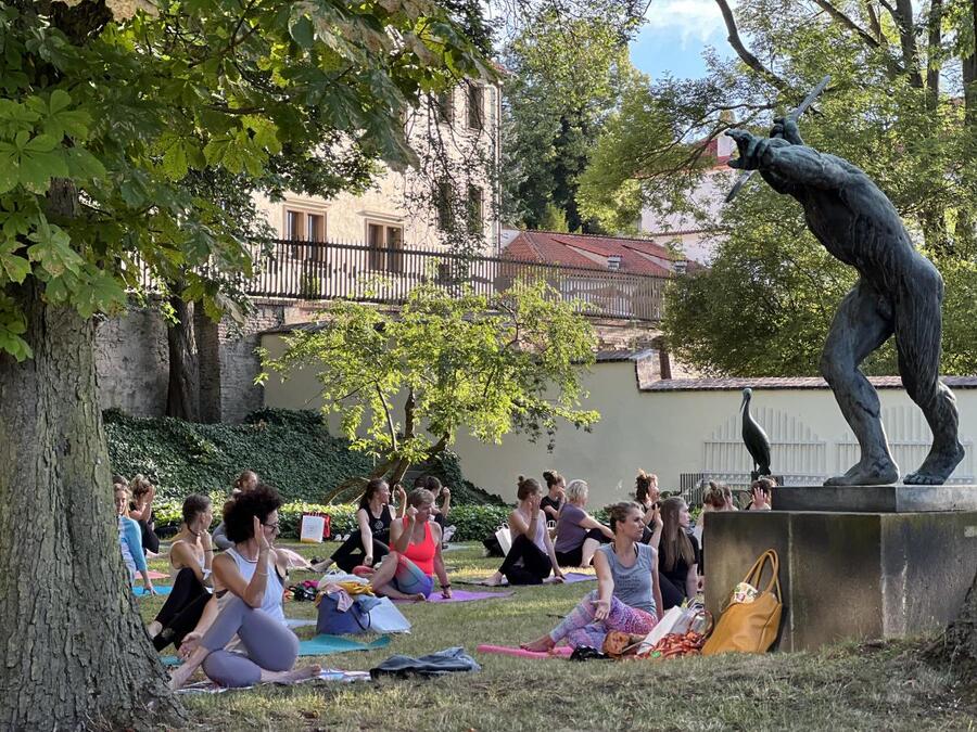 Oslava Mezinárodního dne jógy: jógování a meditace v historických prostorách Šternberského paláce