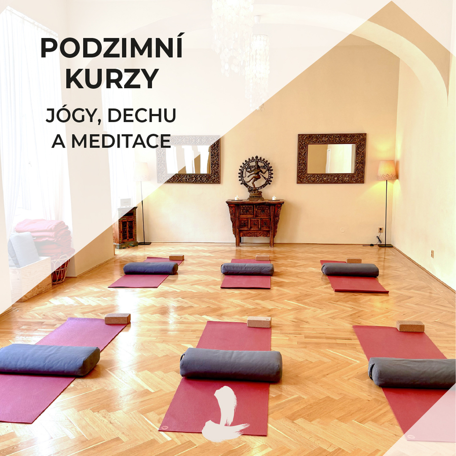 Podzimní kurzy jógy, dechu a meditace 2024