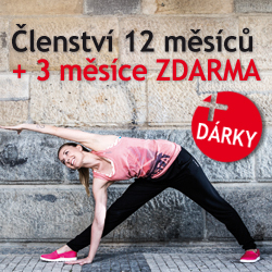 Členství na 1 rok + 3 měsíce zdarma 