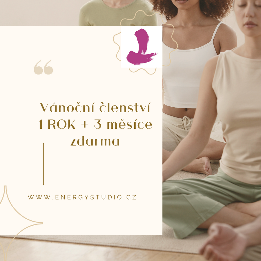 Cvičte nejvýhodněji a pořiďte si k Vánocům Energy členství Flexi